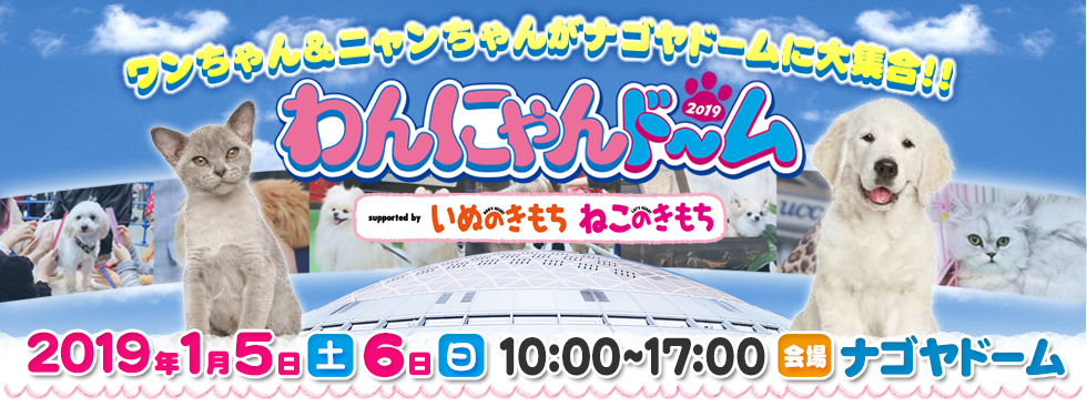 ワンちゃん＆ニャンちゃんがナゴヤドームに大集合！わんにゃんドーム2019