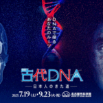 名古屋市科学館 特別展 古代DNAー日本人のきた道ー｜7月19日（土）〜9月23日（火・祝）最新研究でたどる人類の歴史